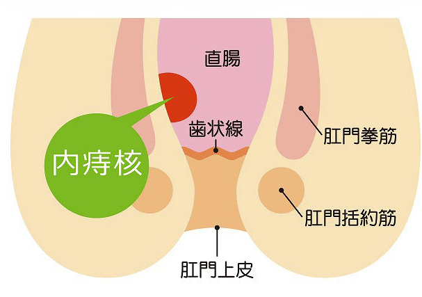 内耳核